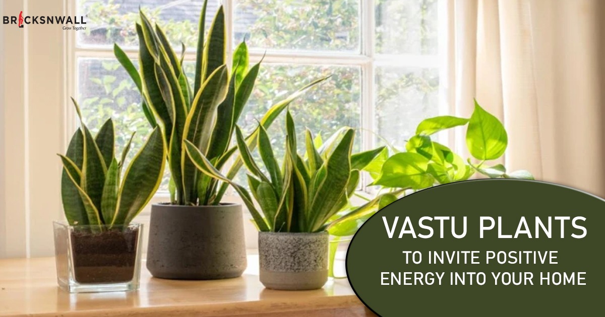 Vastu plants to invite positive energy into your home